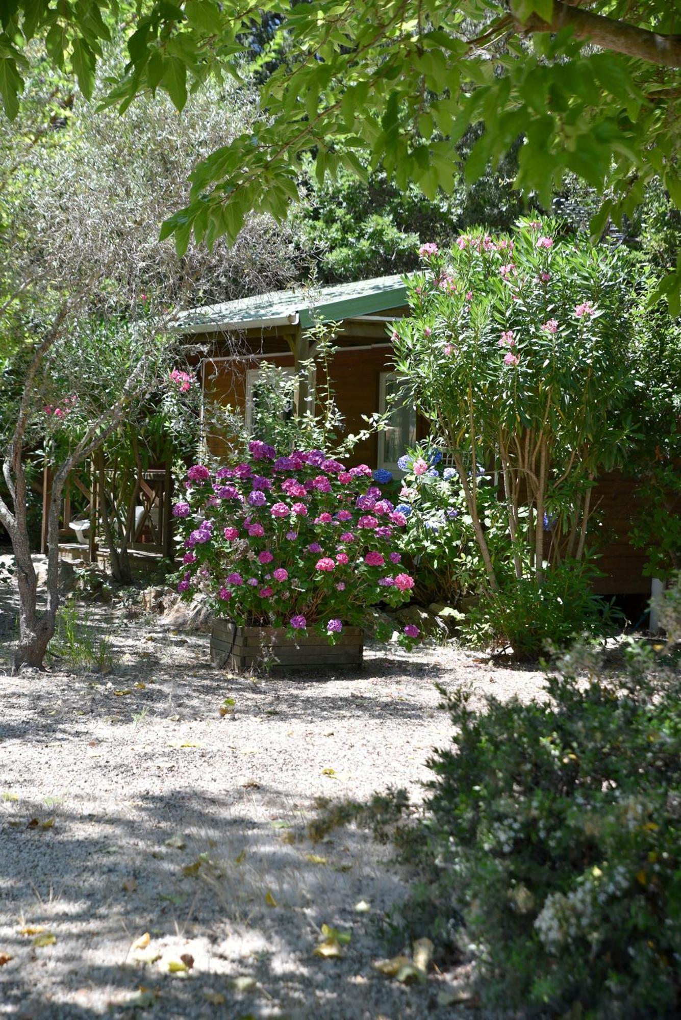 Location Du Ranch Hotell Algajola  Exteriör bild