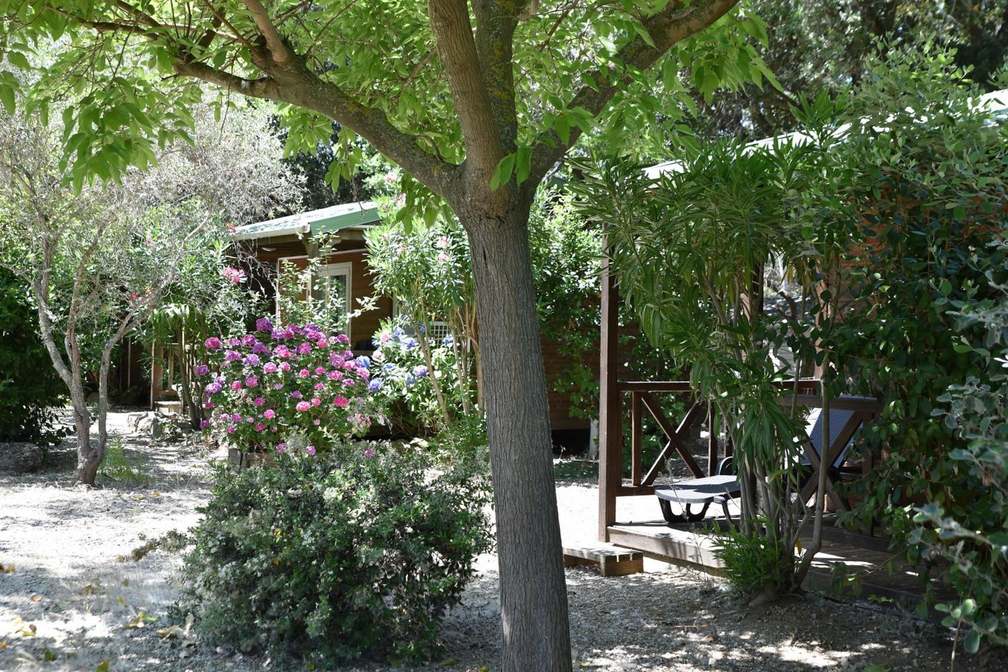 Location Du Ranch Hotell Algajola  Exteriör bild